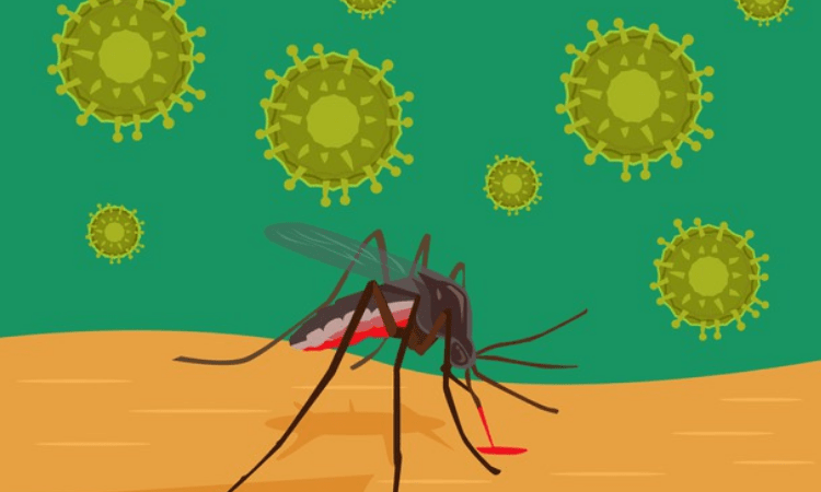 Malaria tracker launched to help affected Commonwealth nations