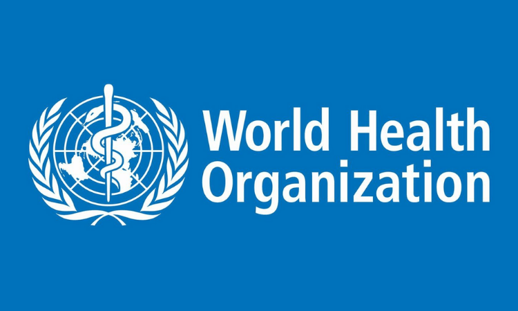 Maximise benefits of AI for health, minimise risks: WHO