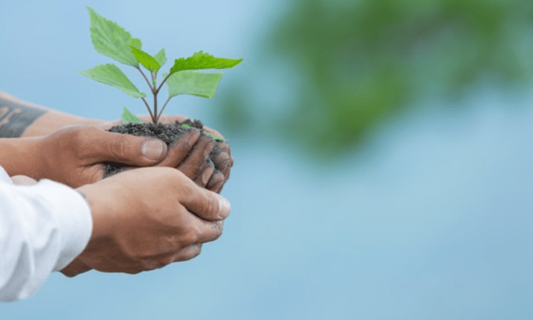 Pratik Gandhi, Malika Arora among celebs backing awareness drive on World Environment Day