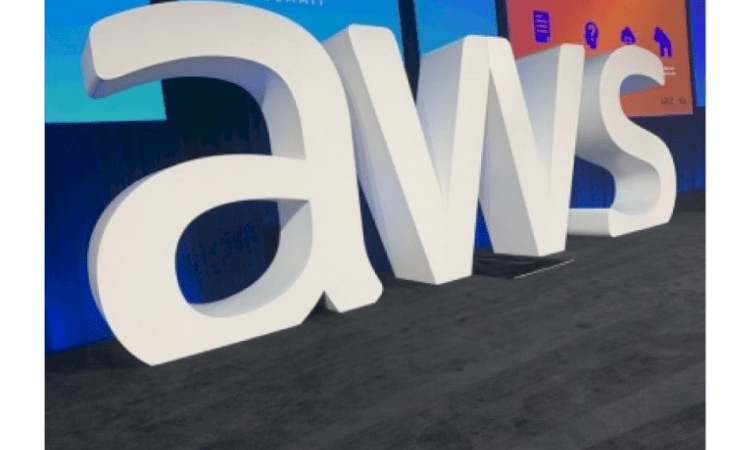 AWS launches India-first programme to nurture public sector startups