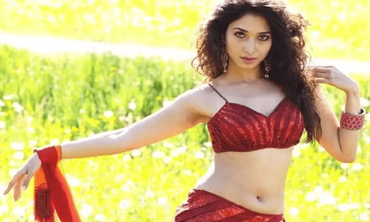 Tamannaah Bhatia: Saw a lot more successful films in South