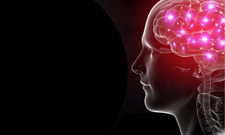 3D ‘assembloid’ shows how SARS-CoV-2 infects brain cells