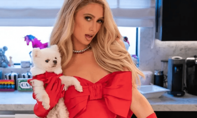 Paris Hilton wants to be a ‘supportive and fun’ mother