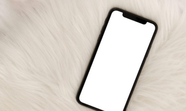 Android users less interested in iPhone 13 models: Report