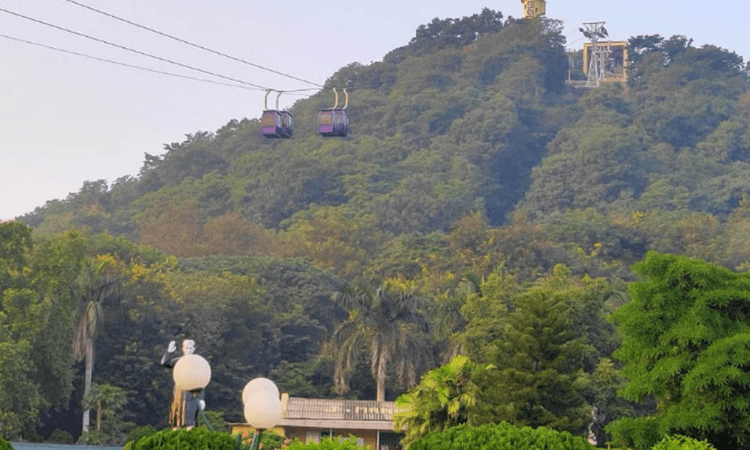 Tamil Nadu to promote eco-tourism in a big way