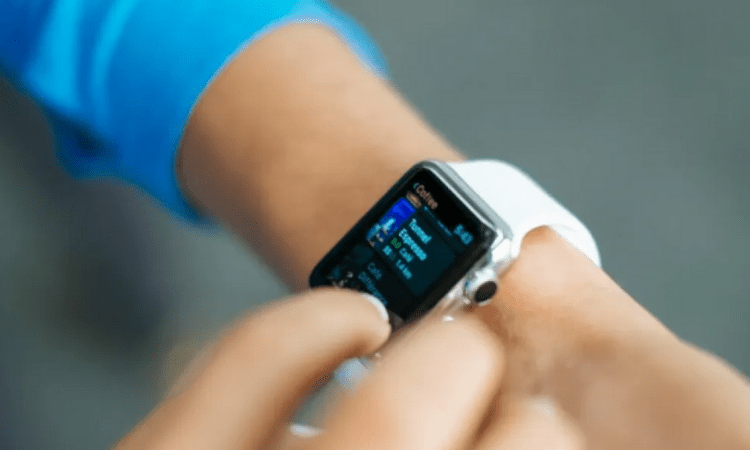 Global wearable band market grew 5.6% YoY in Q2: Report