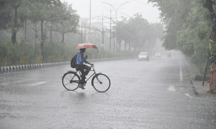 Heavy to moderate rain in TN on Monday: IMD