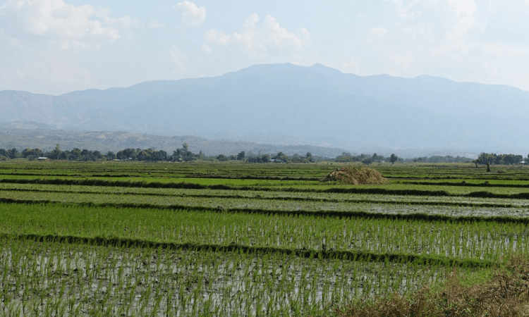 SL scientists warn China’s organic fertilizer would be agriculture disaster