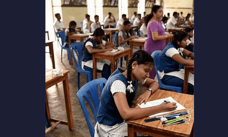 Survey helps 60% dropouts rejoin schools in TN
