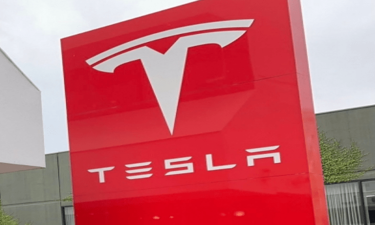 Tesla to add 1,000 new FSD Beta testers per day: Report