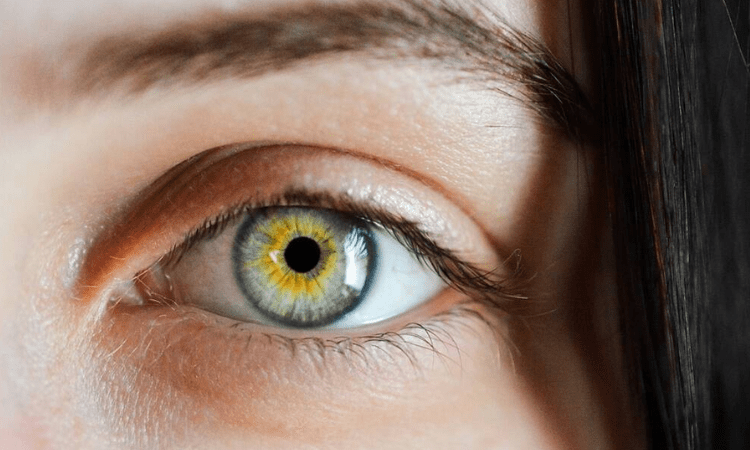 How important is nutrition for eyes during Covid