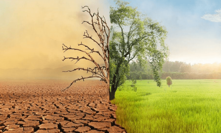 Alliance of universities for climate action, achieving net-zero targets