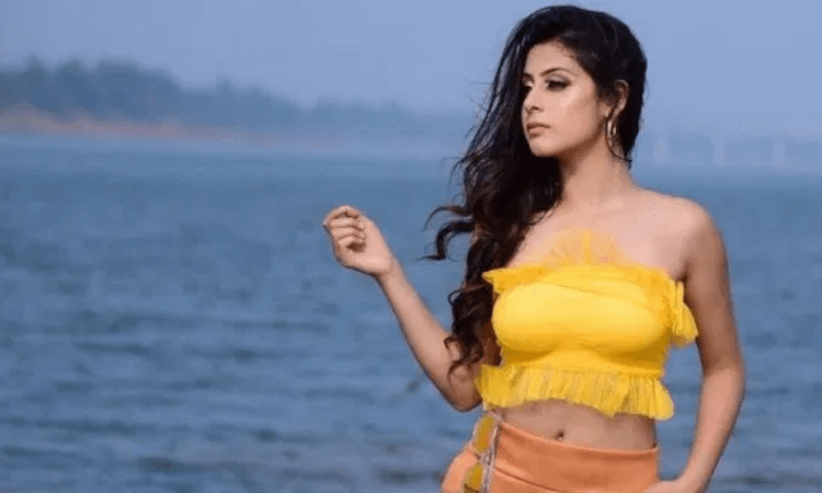 Isha Malviya, Ankit Gupta’s new video ‘Ladeya Na Kar’ is out