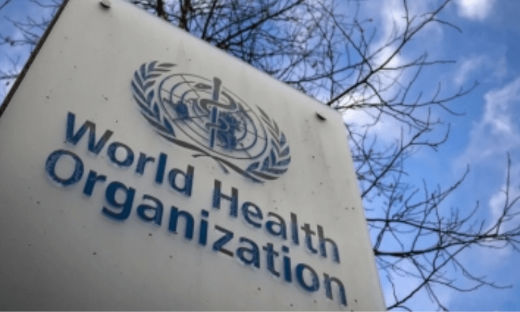 Began shipment of Covid-19 medical supplies to N.Korea: WHO
