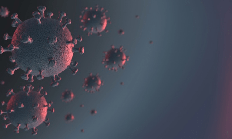 Global Covid-19 caseload tops 249 mn