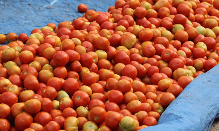 Rains hampered supply chains, led to rising tomatoes, onions prices: Govt