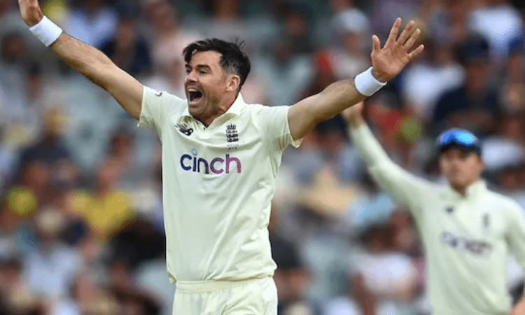 Ashes, 2nd Test: Smith and Carey reach half-centuries before falling to Anderson
