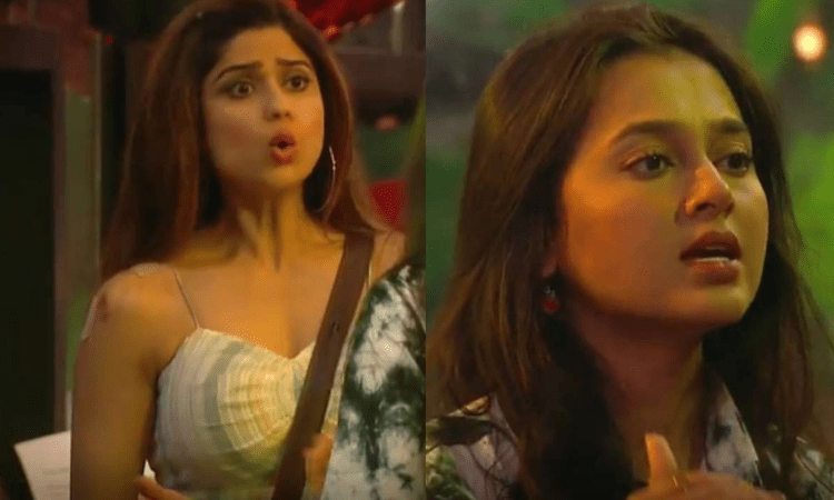 ‘Bigg Boss 15’: Tejasswi, Rashami lock horns
