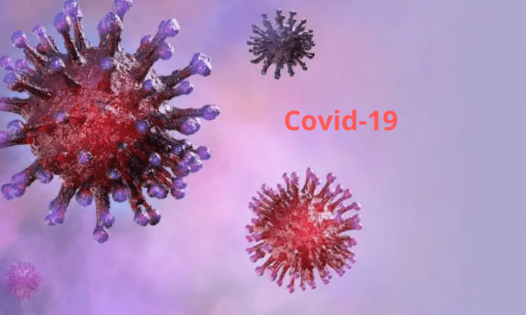 Global Covid caseload tops 268 mn