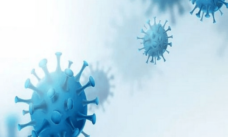 New Zealand reports 172 new community cases of Covid Delta variant