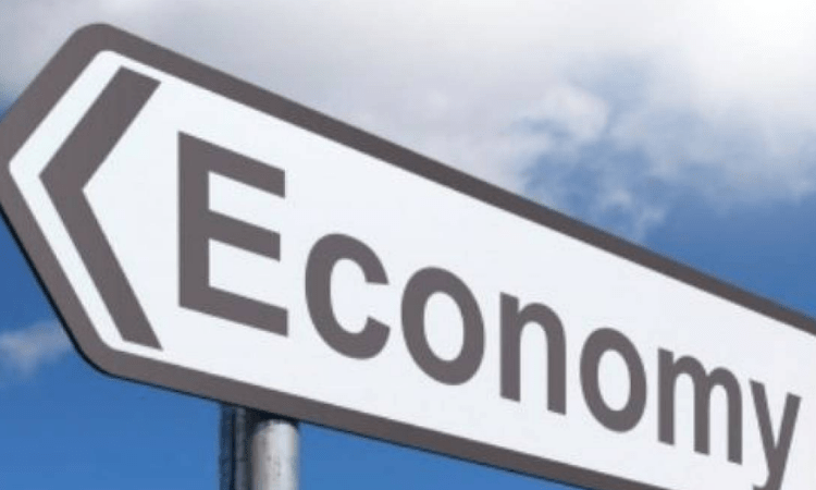 Economic recovery loses momentum as pent up demand slackens: Report