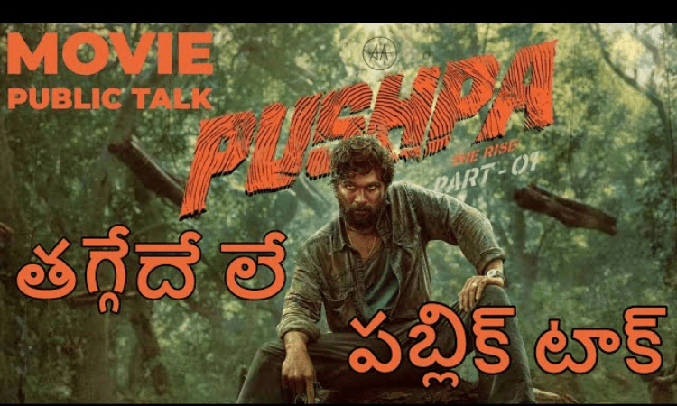 Pushpa Movie Public Talk