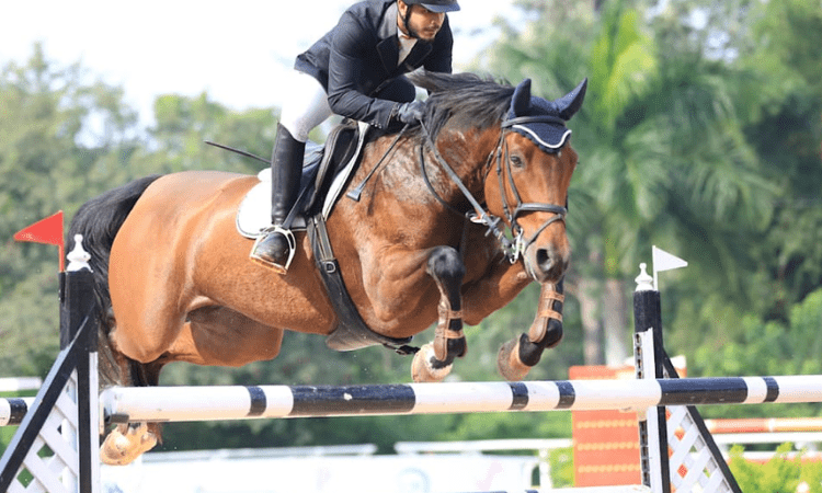 Trials to select show jumping team for 2022 Asian Games to be held in Mumbai