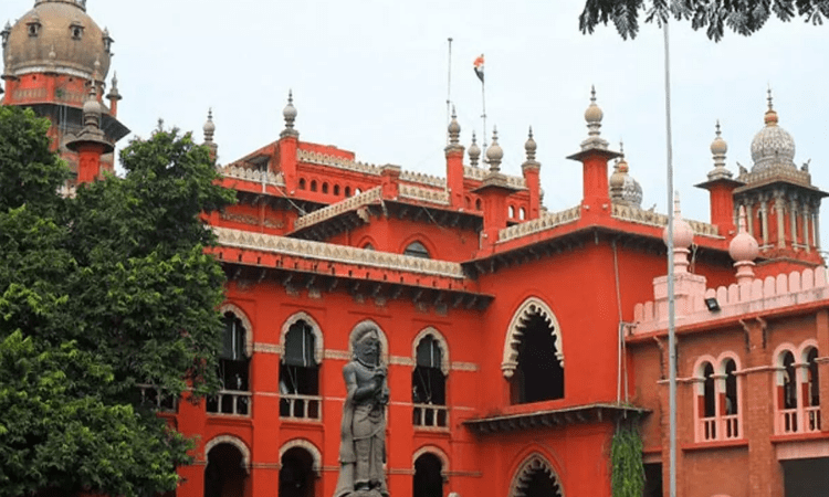 Madras HC gives Rs 25,000 compensation to woman bitten by rat in hospital