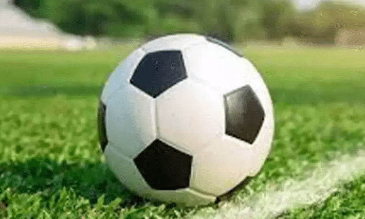 13 new Covid-19 cases reported, says Premier League