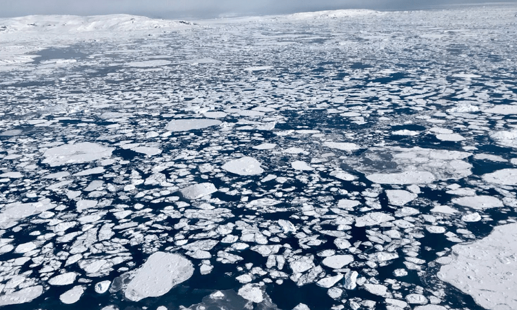 2022 Arctic winter sea ice 10th-lowest on record: NASA