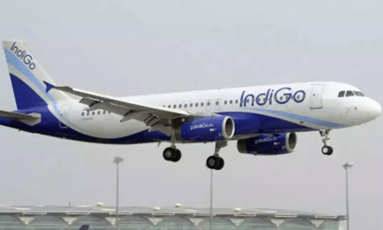 IndiGo to launch 100 domestic flights from Sunday onwards
