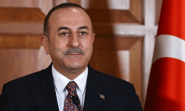 Russia, Ukraine make progress in ceasefire negotiations: Turkish FM