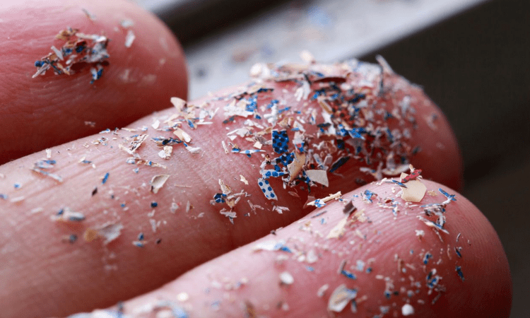 Scientists find microplastics in human blood for first time