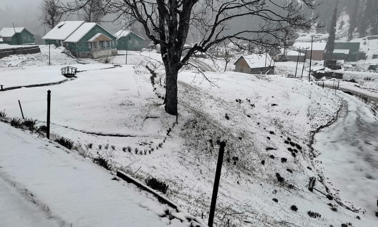 Widespread rain & snow likely in J&K, Ladakh during next 24 hours