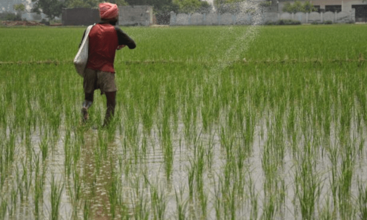 Price Woes: Fertiliser subsidy bill set to touch Rs 1.65 lk cr