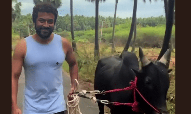 Suriya extends Tamil new year greetings as he walks his bull in video clip