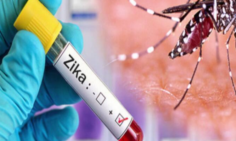 Zika may be a step away from dangerous outbreak