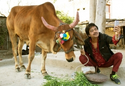 nawazuddin, sanjay mishra-starrer 'holy cow' to release on august 22
