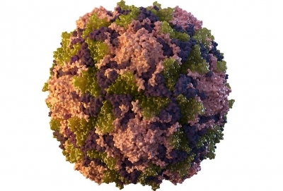 The UK detects polio virus in London sewage samples