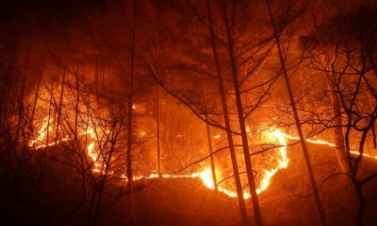 162 structures destroyed in California’s largest wildfire of 2022