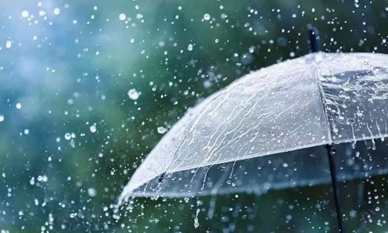 Rain, and thunderstorms likely in Chennai, and suburbs during next 48 hrs: IMD