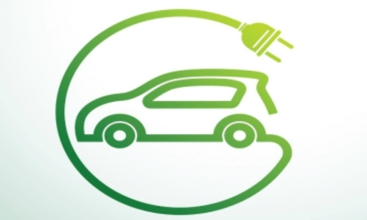 ‘Asian EV makers enjoy some advantages over Tesla’