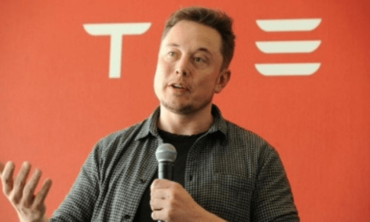 Twitter may actually become accurate, relevant news source: Musk