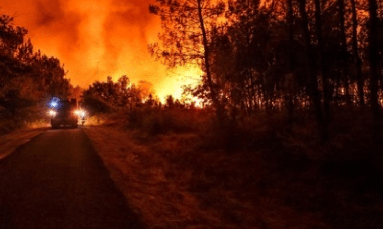 France receives help from EU nations to battle raging forest fires