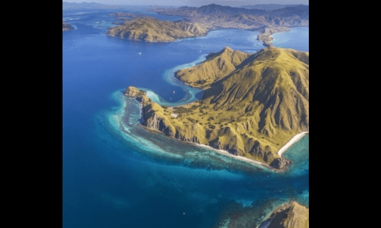 Indonesia has viable path to reach net zero by 2060: IEA