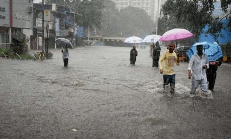 Roads  blocked , schools and colleges are shut shown due to heavy rain in the Bengaluru