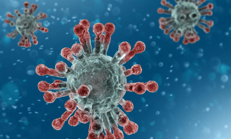 Delta variant of coronavirus could evade immune system, finds study