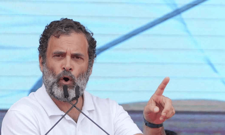 New Congress president will decide my role: Rahul