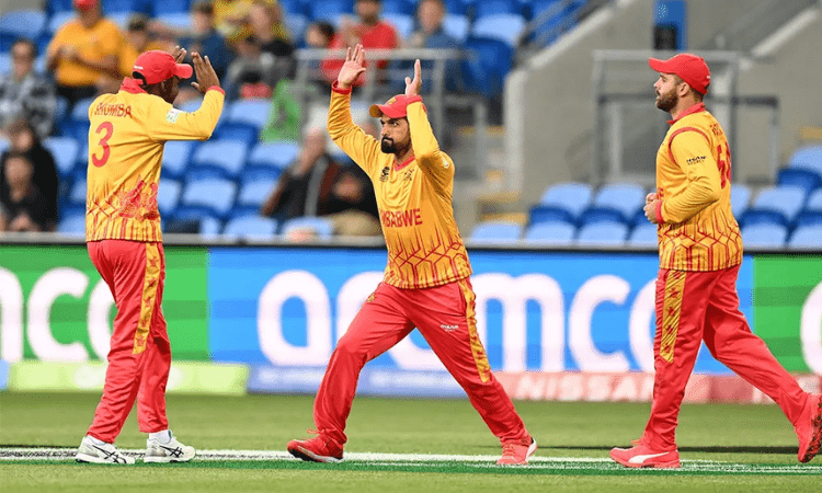 T20 World Cup: Bowlers, Ervine, Raza star as Zimbabwe beat Scotland by five wickets, clinch final Super 12 spot