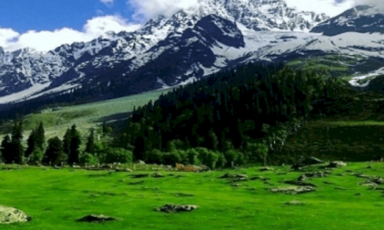 Dry weather with generally clear sky likely in J&K: MeT